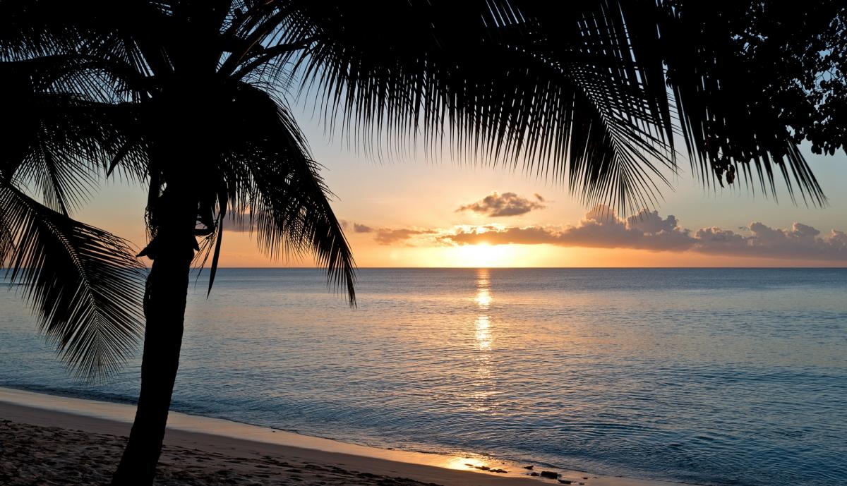 Gibbes Beach moving to Barbados